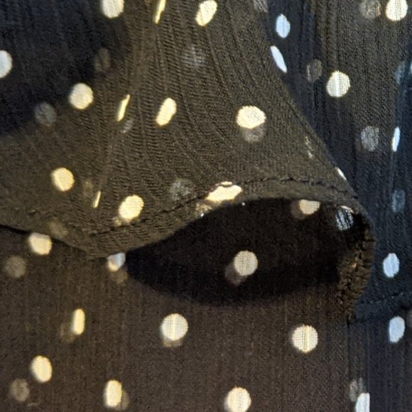 Banana Republic Polka Dot Ruffle Sheer Blouse - M - Picture 5 of 10